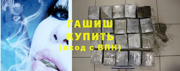 шишки Надым