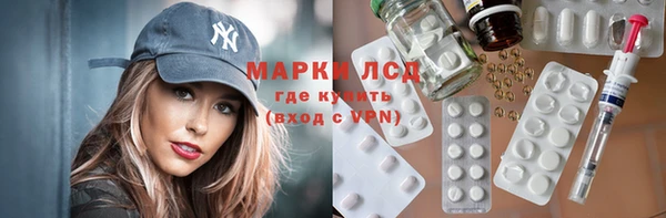 шишки Надым