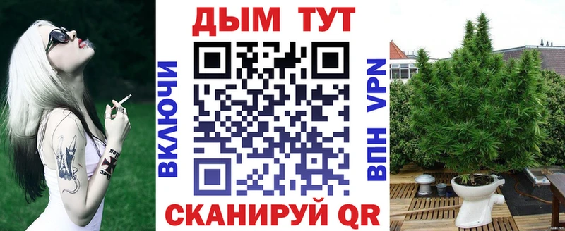 купить наркоту  Циолковский  ссылка на мегу как зайти  Бошки марихуана VHQ 